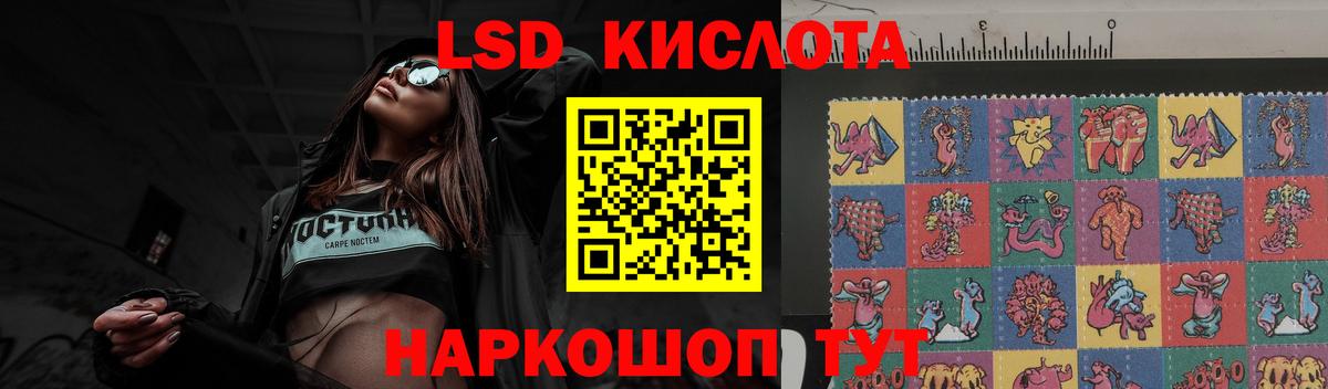 LSD-25 экстази кислота Кингисепп