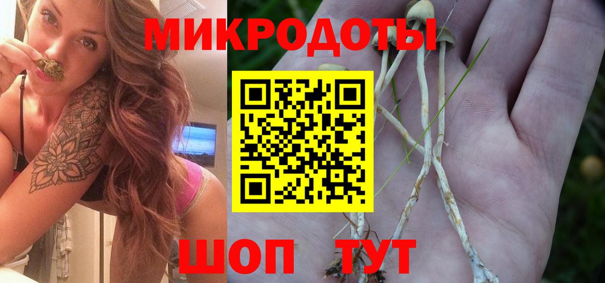 Псилоцибиновые грибы прущие грибы Кингисепп