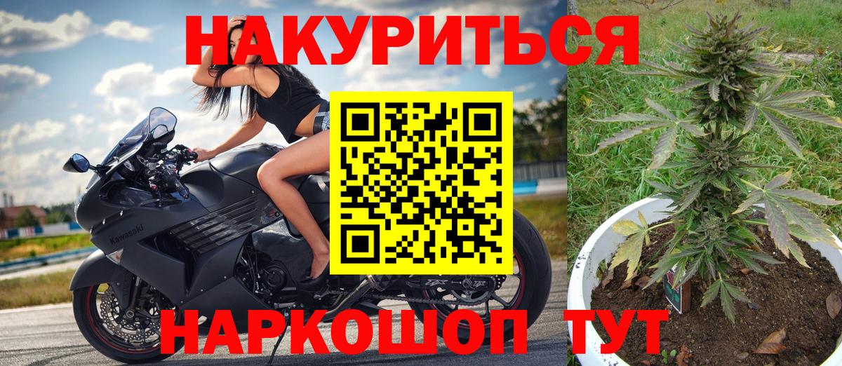 Канабис гибрид Кингисепп